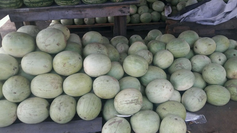 sandia